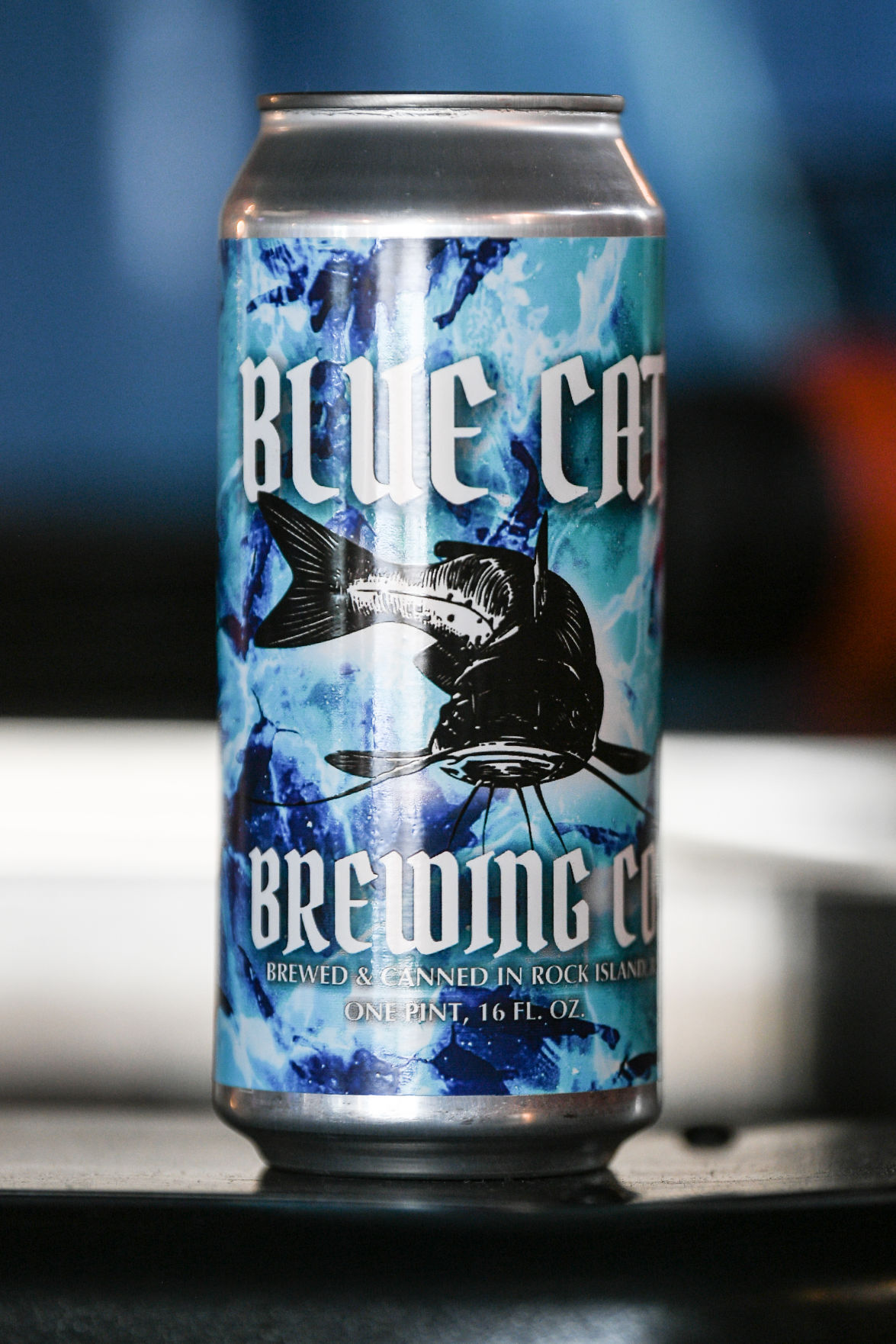 111721-qc-nws-bluecat-006